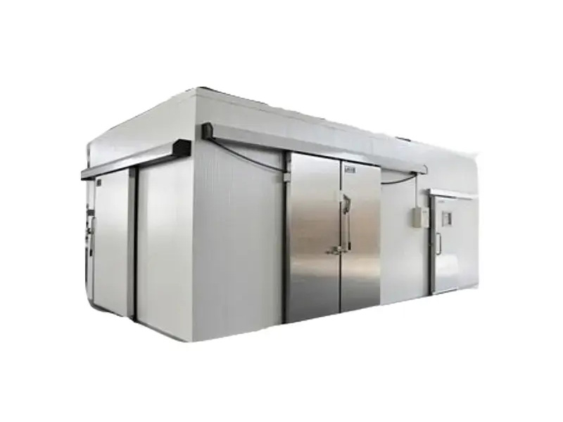 Innovative cold room blast freezer revolutionizes freezer storage efficiency