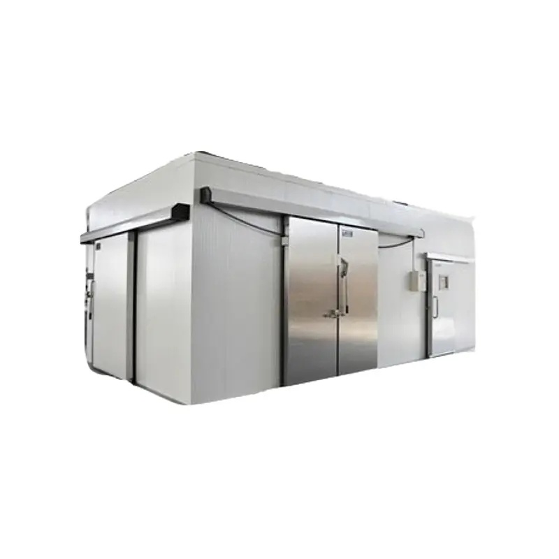 Cold Room Blast Freezer for Freezing and Could Storage
