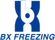 Baoxue
